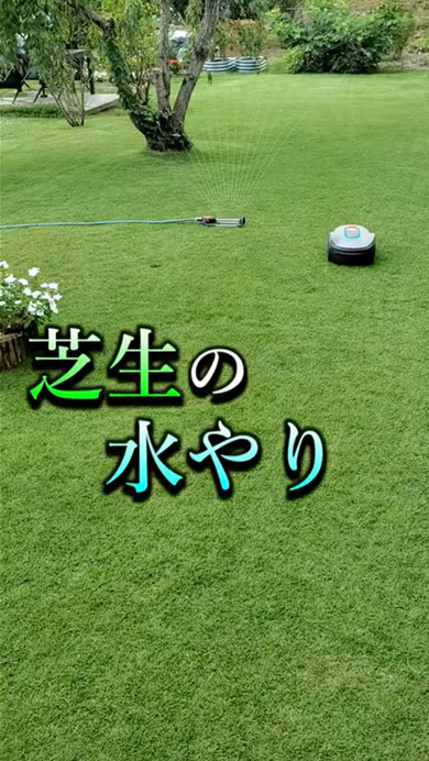 井戸水と水道水の温度の比較