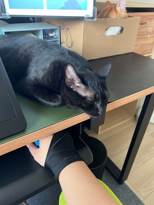 マウスパッドの上で寝る猫