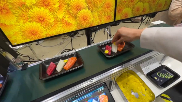 刺身 タンポポ 乗せる 仕事 マシン 装置 エラー 食用菊 展示