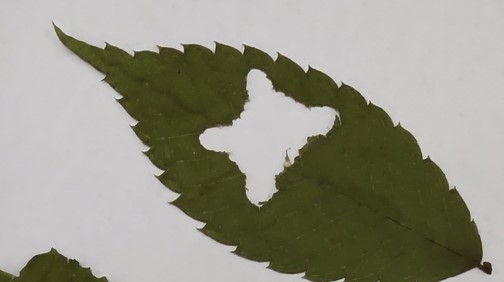 盛岡市動物公園ZOOMO