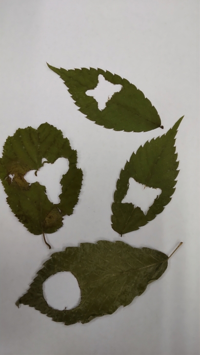 盛岡市動物公園ZOOMO