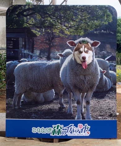 顔はめパネルに挑戦