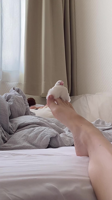 足の上にいる文鳥少し寄った