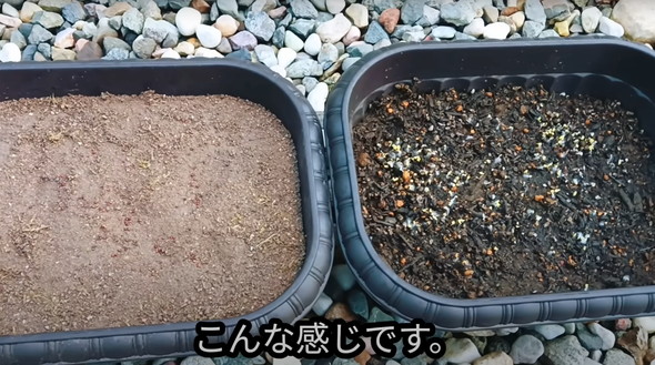 防草できる砂検証