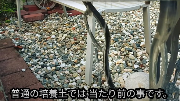 防草できる砂検証