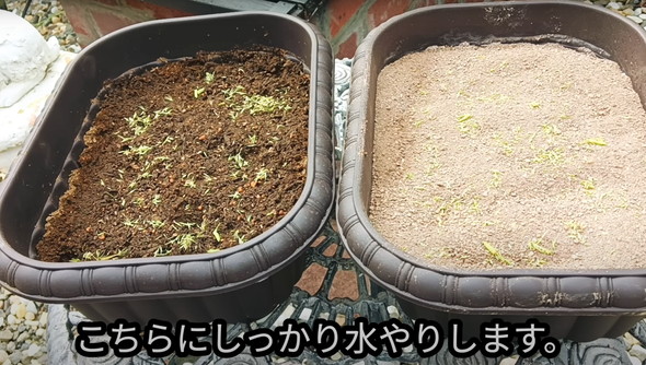 防草できる砂検証