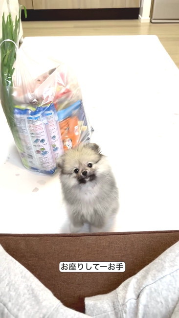 おすわりして