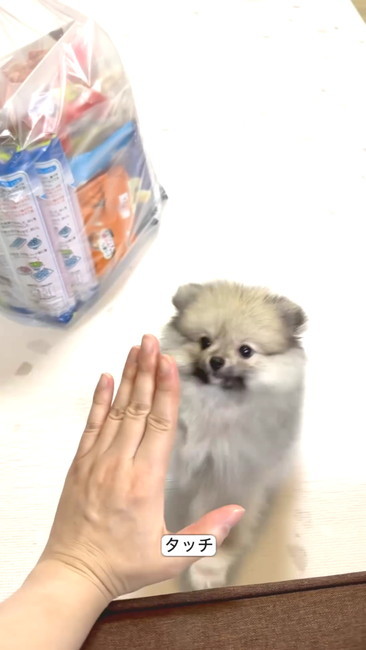 タッチ