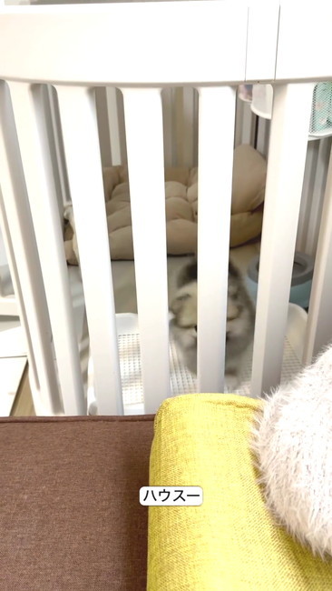 中から見る