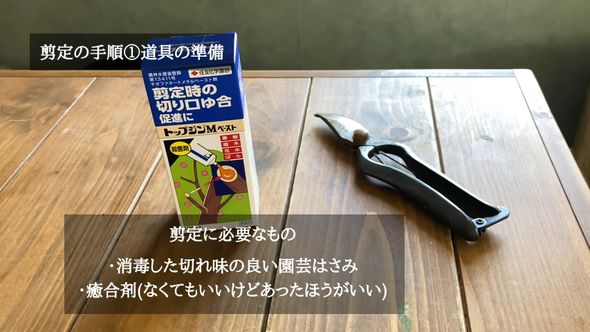 剪定（せんてい）で使うハサミと癒合剤