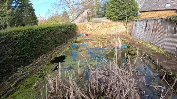 YouTubeチャンネル「thep00lguy ML」