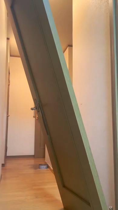 壊れたドアとゴールデンレトリバーのワンコ