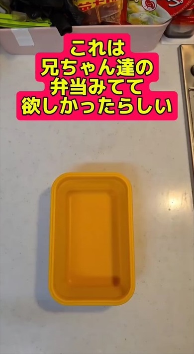 父が作る娘の弁当