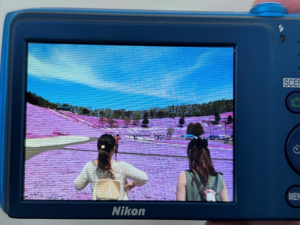 デジカメに入っていた写真