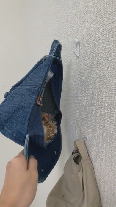 キャップの中に居るキンカチョウ2羽