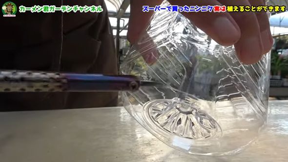 余った食用ニンニクで栽培する方法