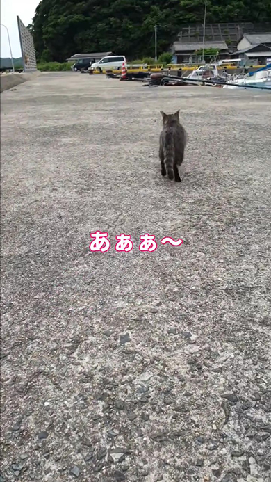 あああ〜