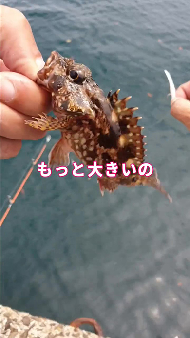 もっと大きいの