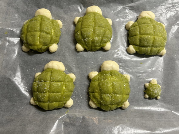 カメモチーフのメロンパン焼成前