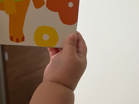 絵本を持つ赤ちゃんの手