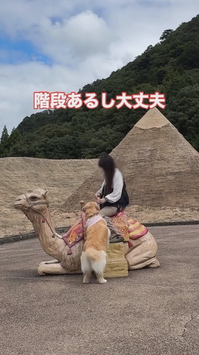 ラクダの置物に乗ろうとするワンコと女性