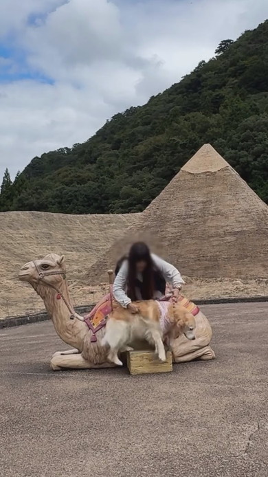 ラクダの置物に乗ろうとするワンコと女性