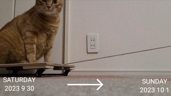 カメラ目線でファンサービス