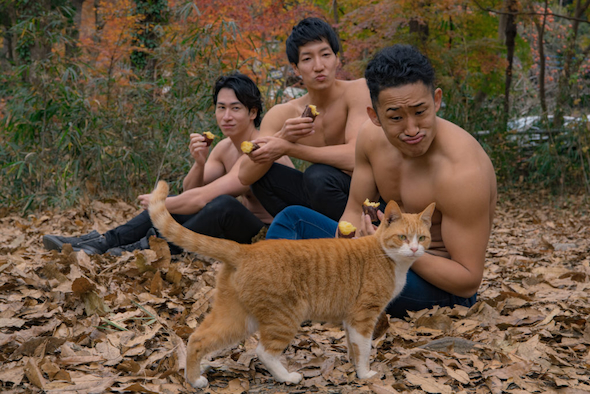 マッチョと焼き芋と猫