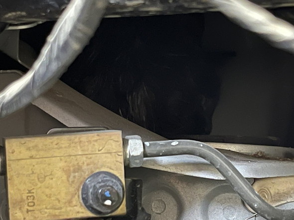 エンジンルーム