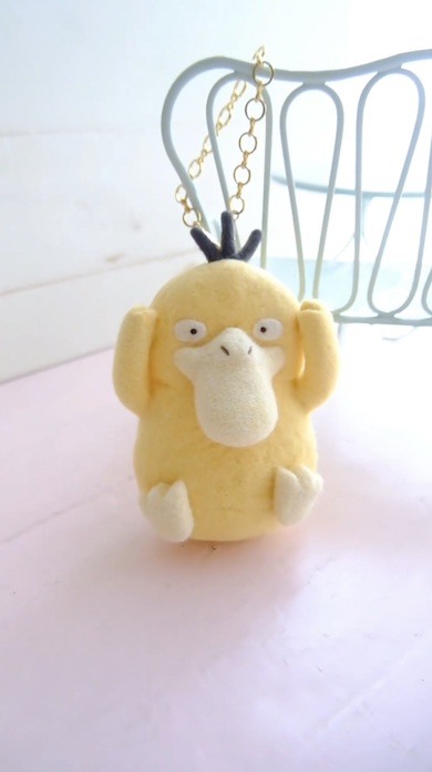 コダックのポーチ