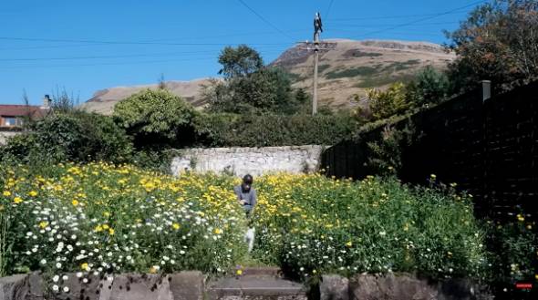 YouTubeチャンネル「George Dunnett」