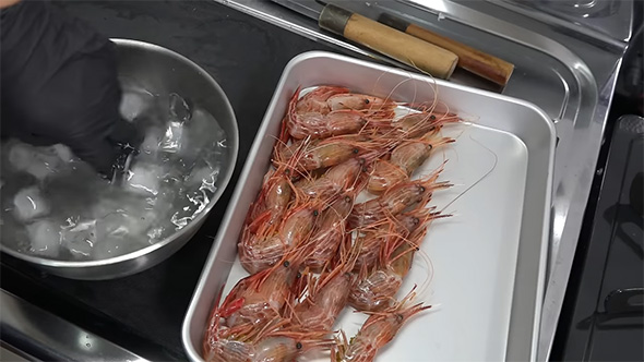 バットに並ぶシマエビ