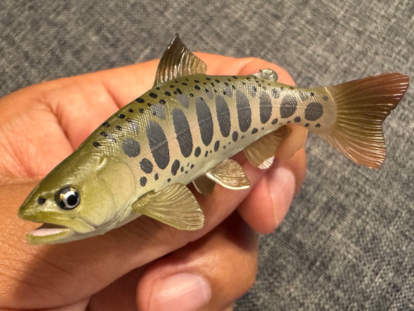 魚 リアル フィギュア カプセルトイ ヤマメ 再現 ネイチャーテクニカラー 日本の清流