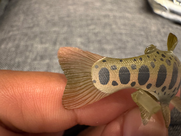 魚 リアル フィギュア カプセルトイ ヤマメ 再現 ネイチャーテクニカラー 日本の清流