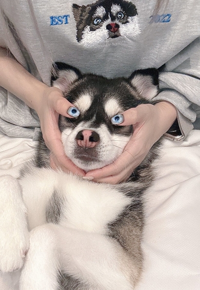 愛犬のお目々をネイルで再現