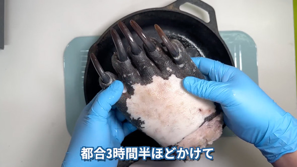 超高級食材「熊掌」を調理