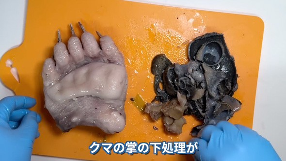 超高級食材「熊掌」を調理