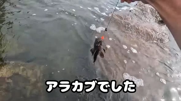 リールキーホルダーで釣り上げたアラカブ