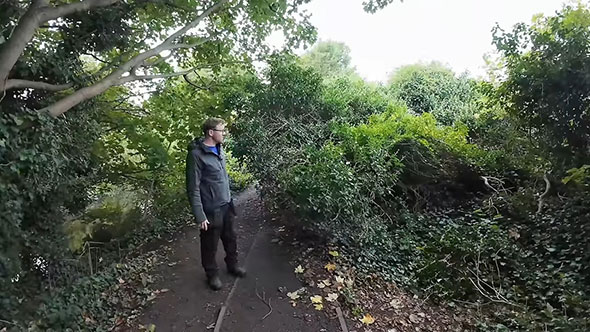 道が草に覆われているところ