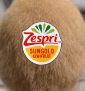 キウイとそっくりなハムスター