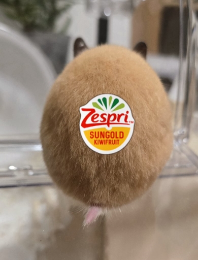 キウイとそっくりなハムスター