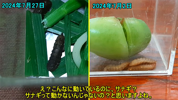 こんなに動いているのに