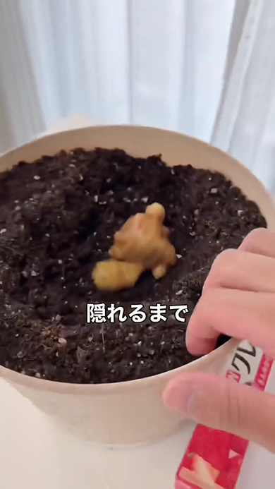 隠れるまで