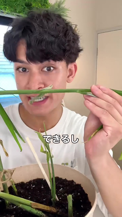 できるし