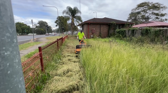 ビフォーアフター　芝刈り