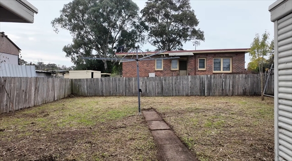 ビフォーアフター　芝刈り