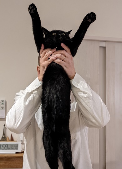 実話集『猫は奇跡』に登場する父親を一夜でとろけさせた猫