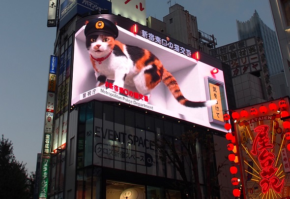 実話集『猫は奇跡』に登場する「新宿東口の猫」の巨大スクリーン