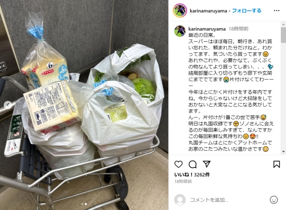 カートいっぱいの購入品