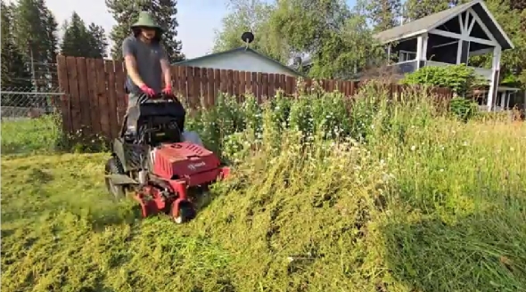手入れされていない荒れた庭のビフォーアフター